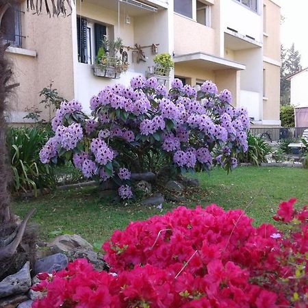 Les Floralies Bis Apartment Pau Luaran gambar